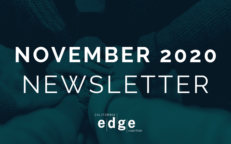 EDGECoalition_NovemberNewsletter_Banner