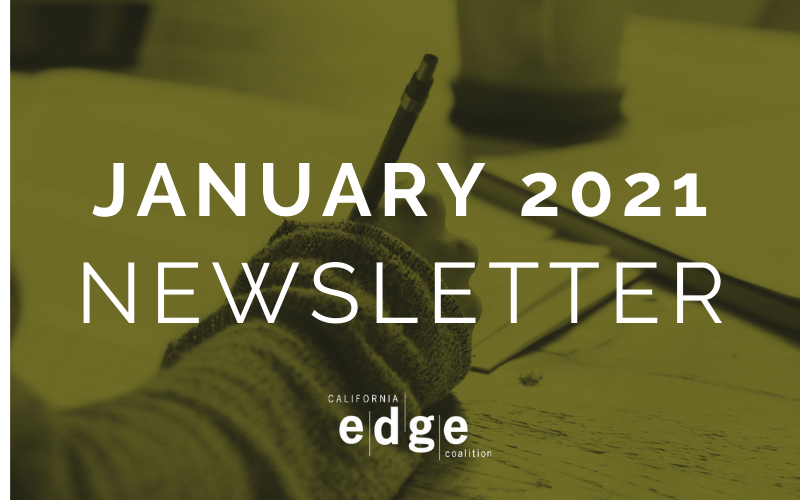 January 2021 newsletter image